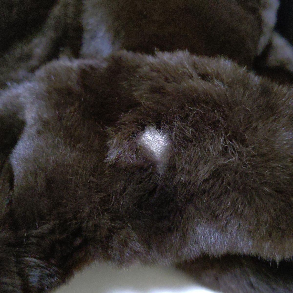 ムーンバットファー