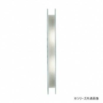 ヤマトヨテグス フロロハリス 100m 22号