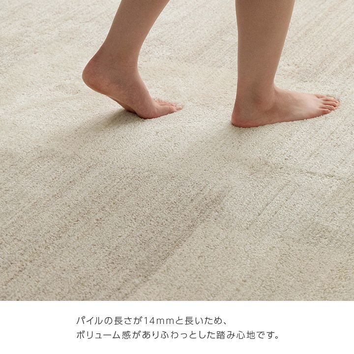 カーペット