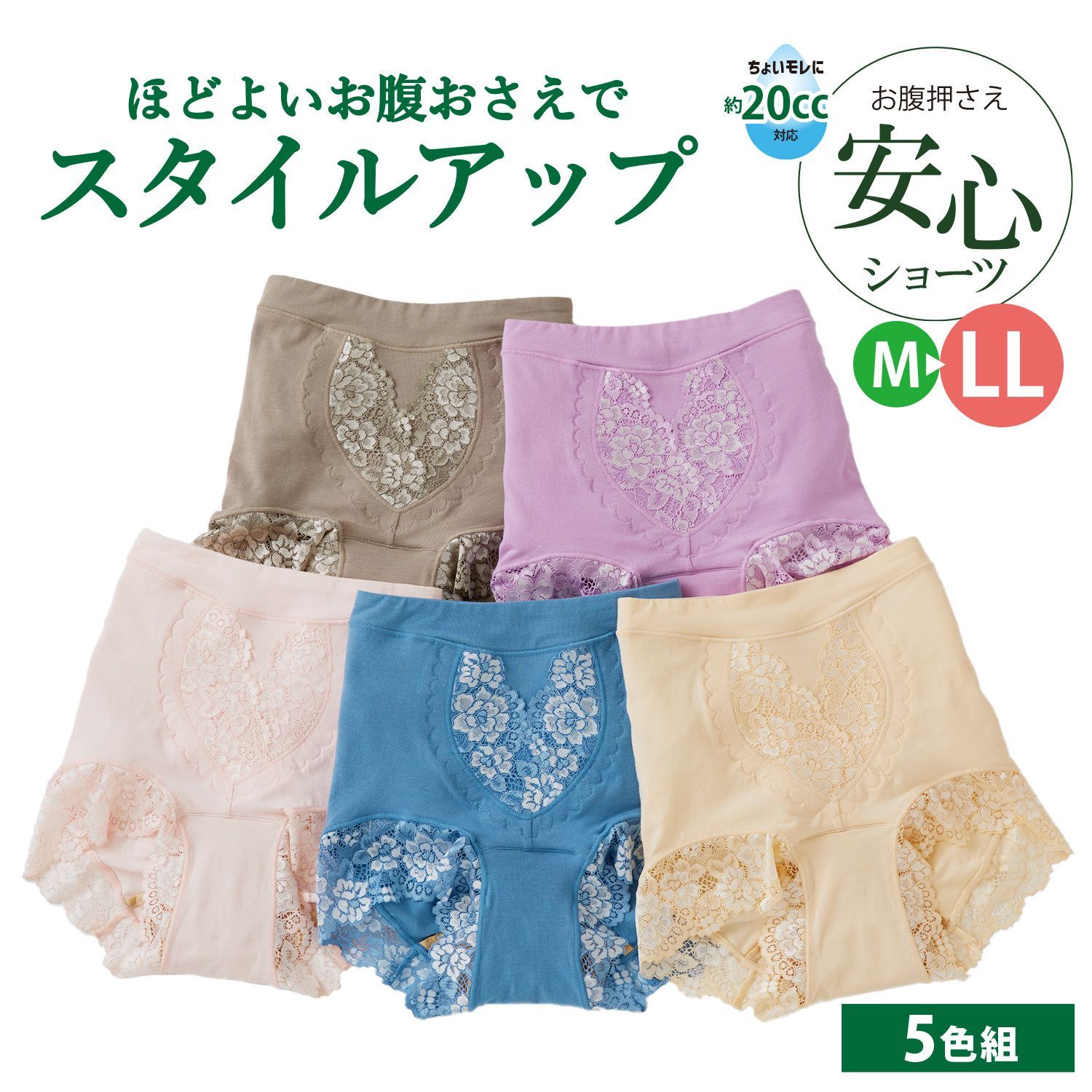 尿漏れパンツ 女性用 5枚組 お腹押さえ 安心ショーツ 下腹 大きいサイズ 20cc M L LL パワーネット 失禁パンツ 婦人