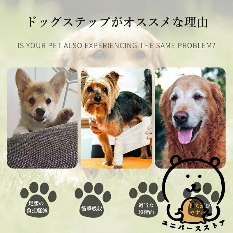 犬用階段