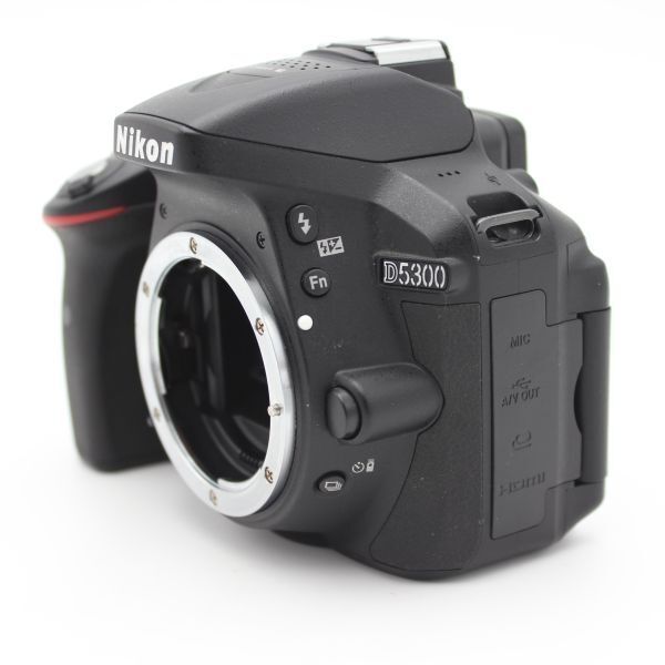 D5300