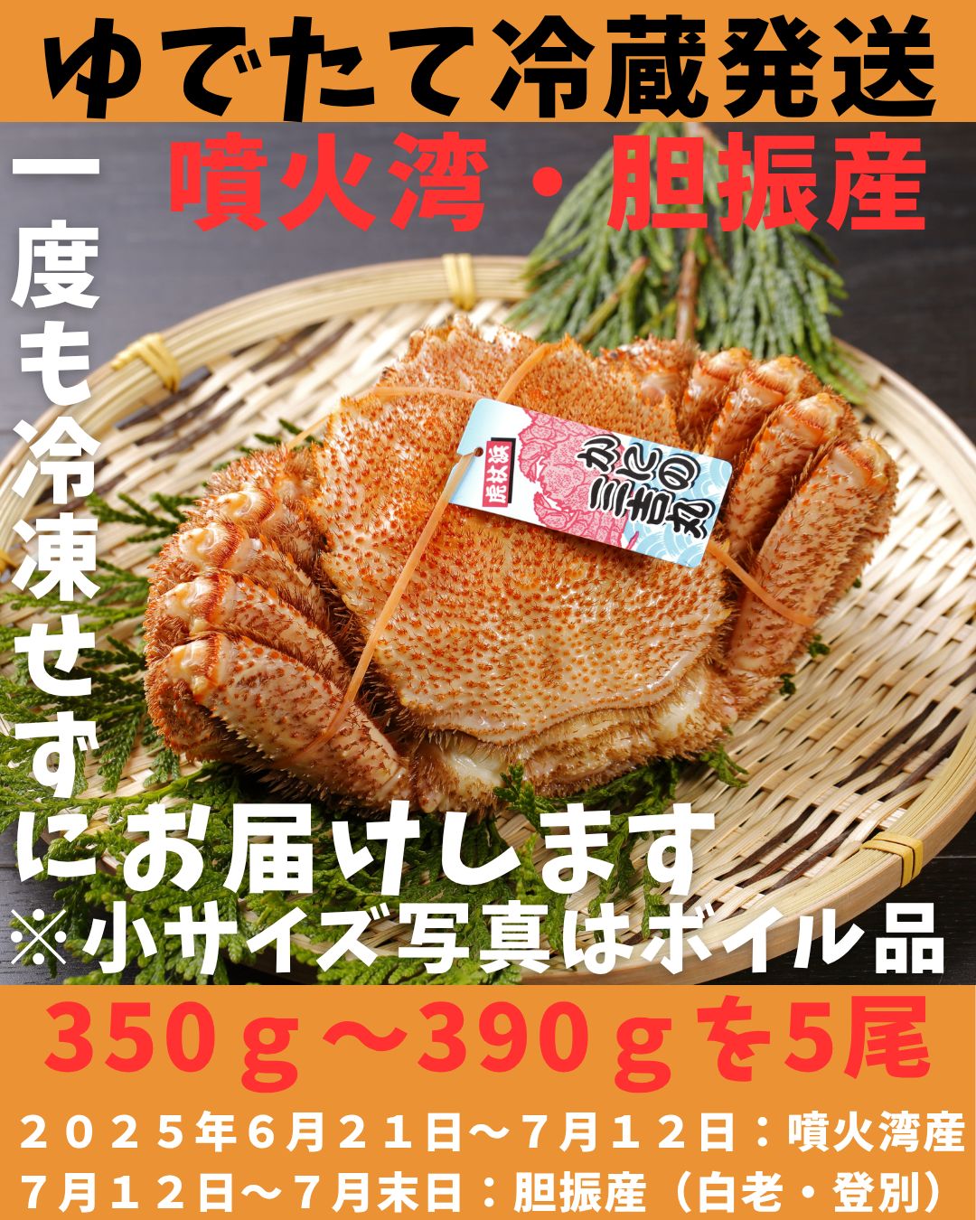 ゆでたて冷蔵便ボイル毛ガニ 5尾 350ｇ～390ｇ活時計量 噴火湾 胆振