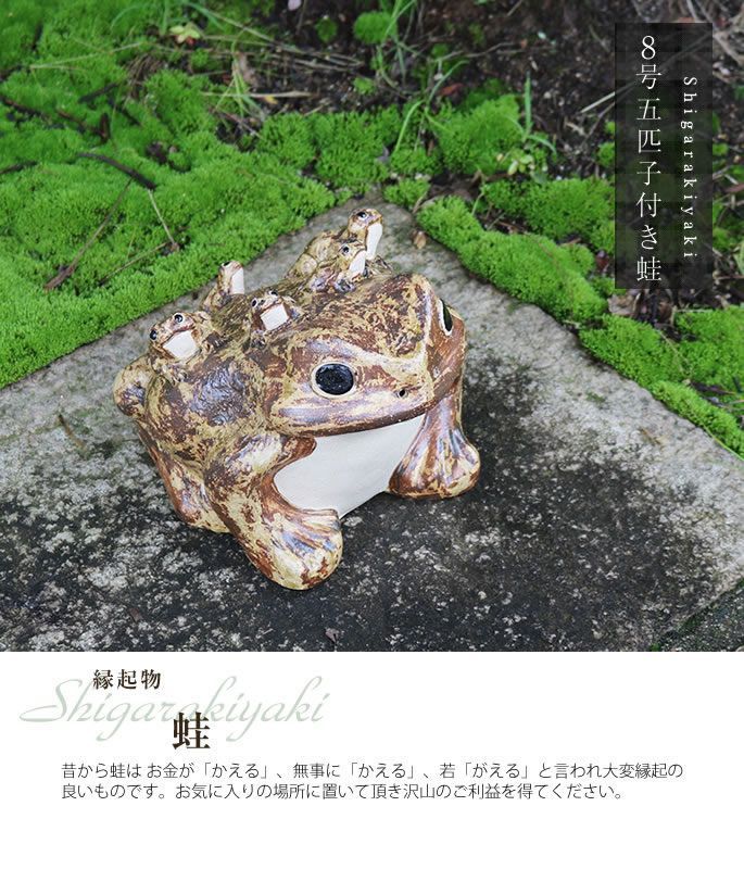 信楽焼 しがらき やきもの 陶器 置物 カエル かえる 縁起物 ギフト 六