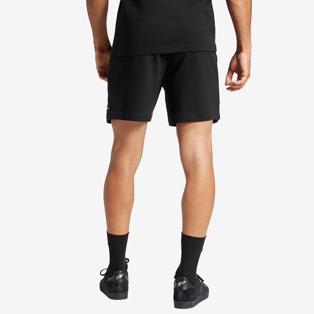 公式モデル 日本未発売