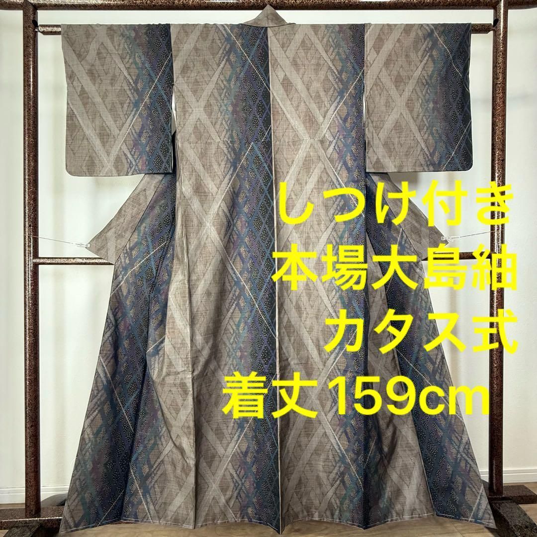 しつけ付 和装 着物 袷 紬 本場大島紬 カタス式 正絹159 現代