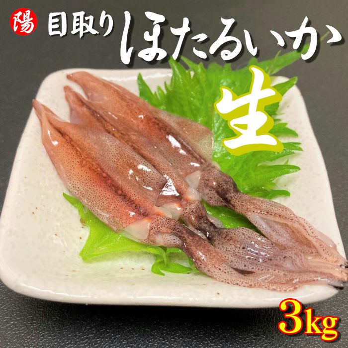 鯨歯 マッコウクジラ 牙玉 ルース 約12.5㎜ 片穴 9個 鯨歯 マッコウ