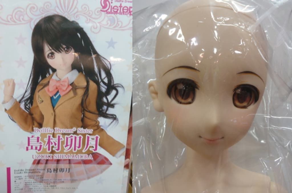 ☆美品☆ 放課後秋葉原ガールズ 限定 DDS アキラ ドルフィードリーム