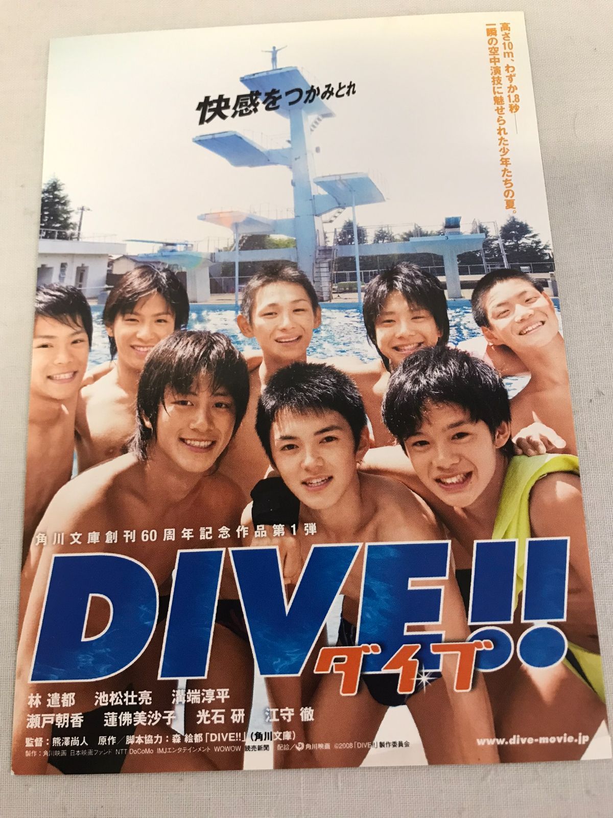 春先取りの - DIVE パンフレット - ダイブ パンフレット ダイブ