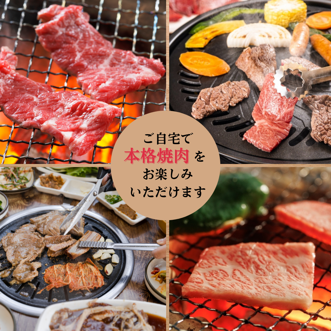 スタンダード焼肉セット500ｇ★3～4人分★国産黒毛和牛A5★国産豚★焼肉★BBQ