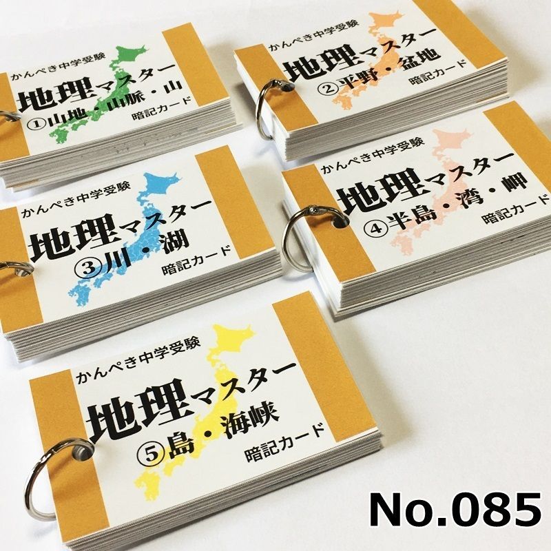☆【100】中学受験 算数・国語・理科・社会 暗記カードセット - ぱぱ