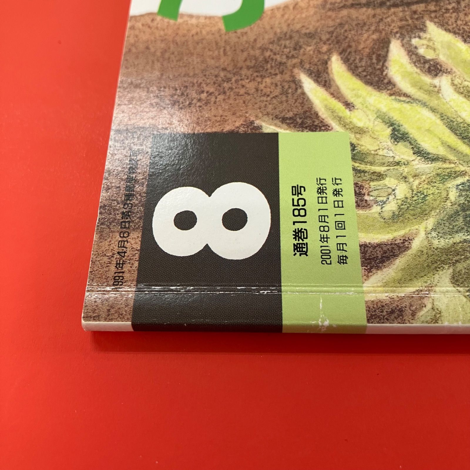 子供向け絵本コレクション 46冊 まとめ売り 子供向け絵本コレクション 46冊 まとめ売り