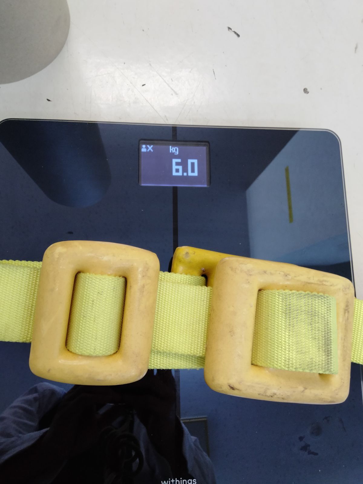 6.0kg