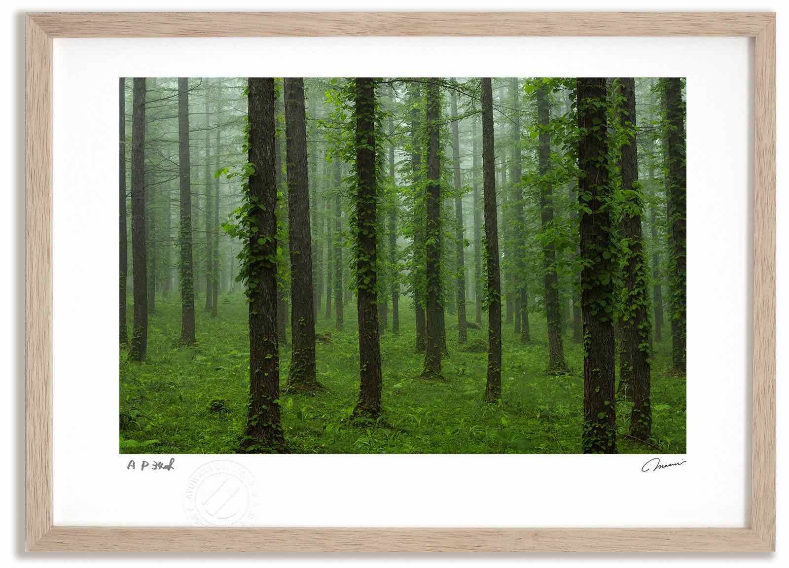 匿名配送 豊田商事株式会社 レア 1985年 カレンダー 昭和 希少 匿名