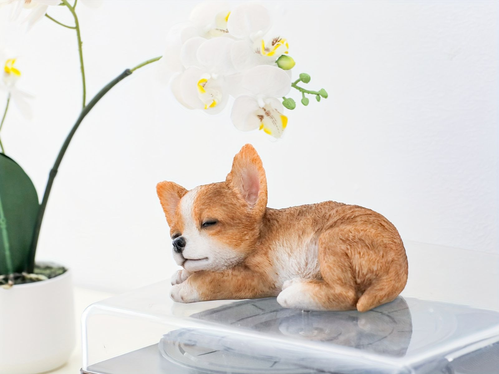 置物 オブジェ ガーデンオーナメント 寝ているチワワ 犬 いぬ イヌ 