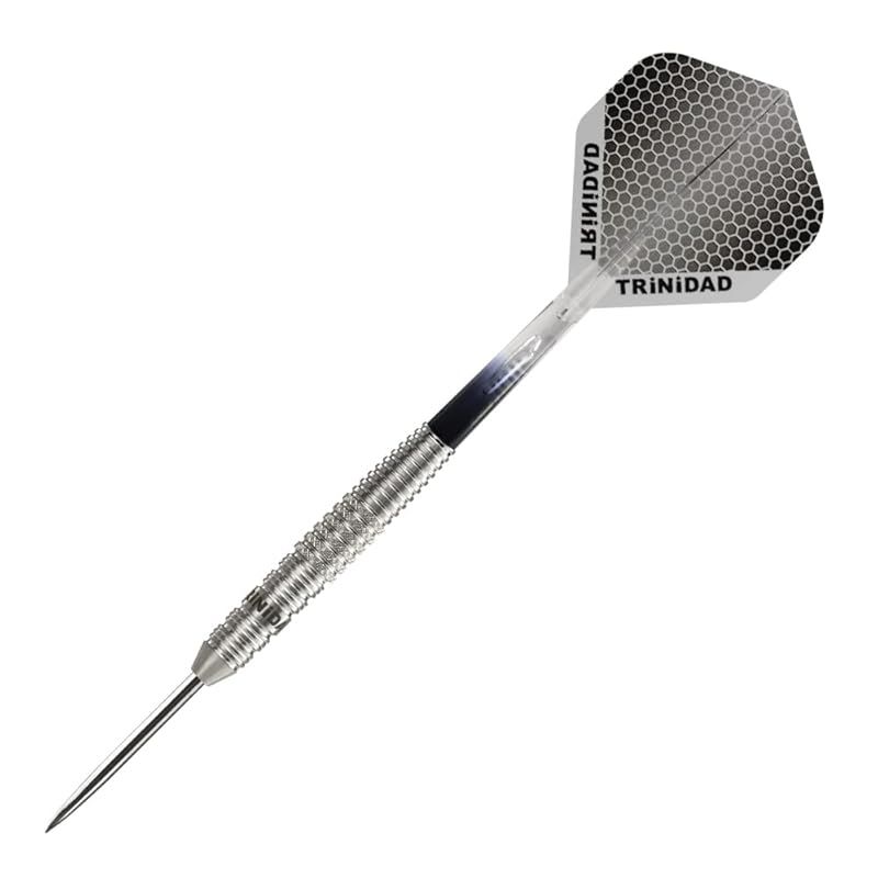 TRiNiDAD PRO EDER3 Steel トリニダード プロ エデル3 吉野洋幸 選手考案モデル ダーツ バレル 0