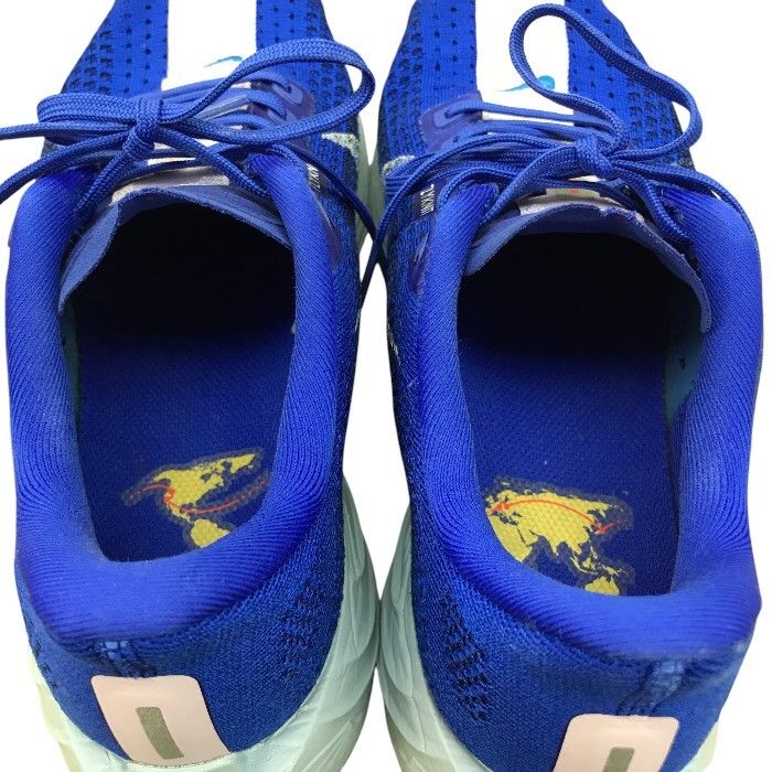 NIKE ナイキ ペガサスプラス メンズスニーカー ブルー ピンク