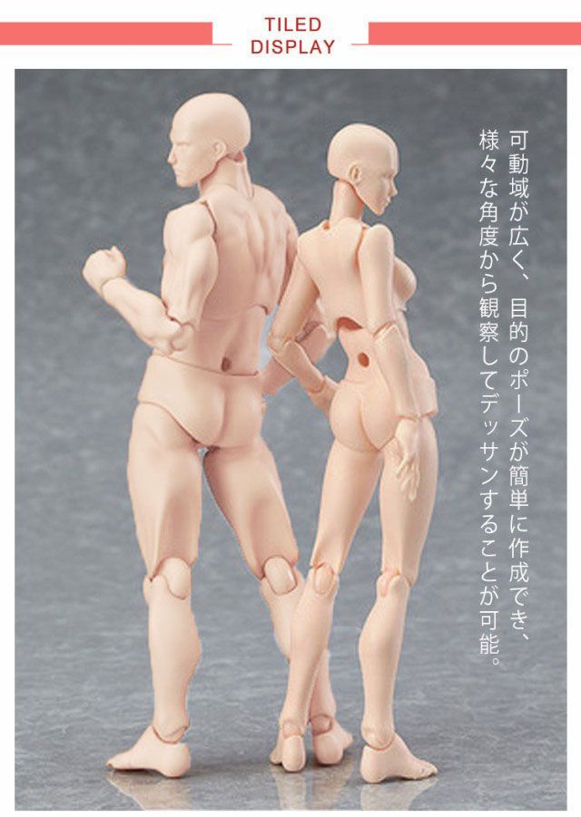 男女セット デッサン モデル人形 デッサン人形 フィギュア 画材