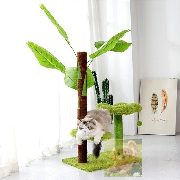 新しいシミュレーション猫小屋は熱帯雨林風に登ります