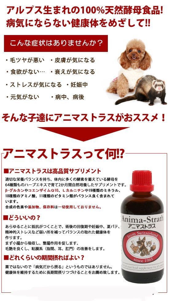 ３個セット】アニマストラス リキッド1ℓ サプリメント 犬 猫 1000ml 腸 腸活 フェレット ウサギ 犬用サプリメント 活性化 小動物 -  メルカリ