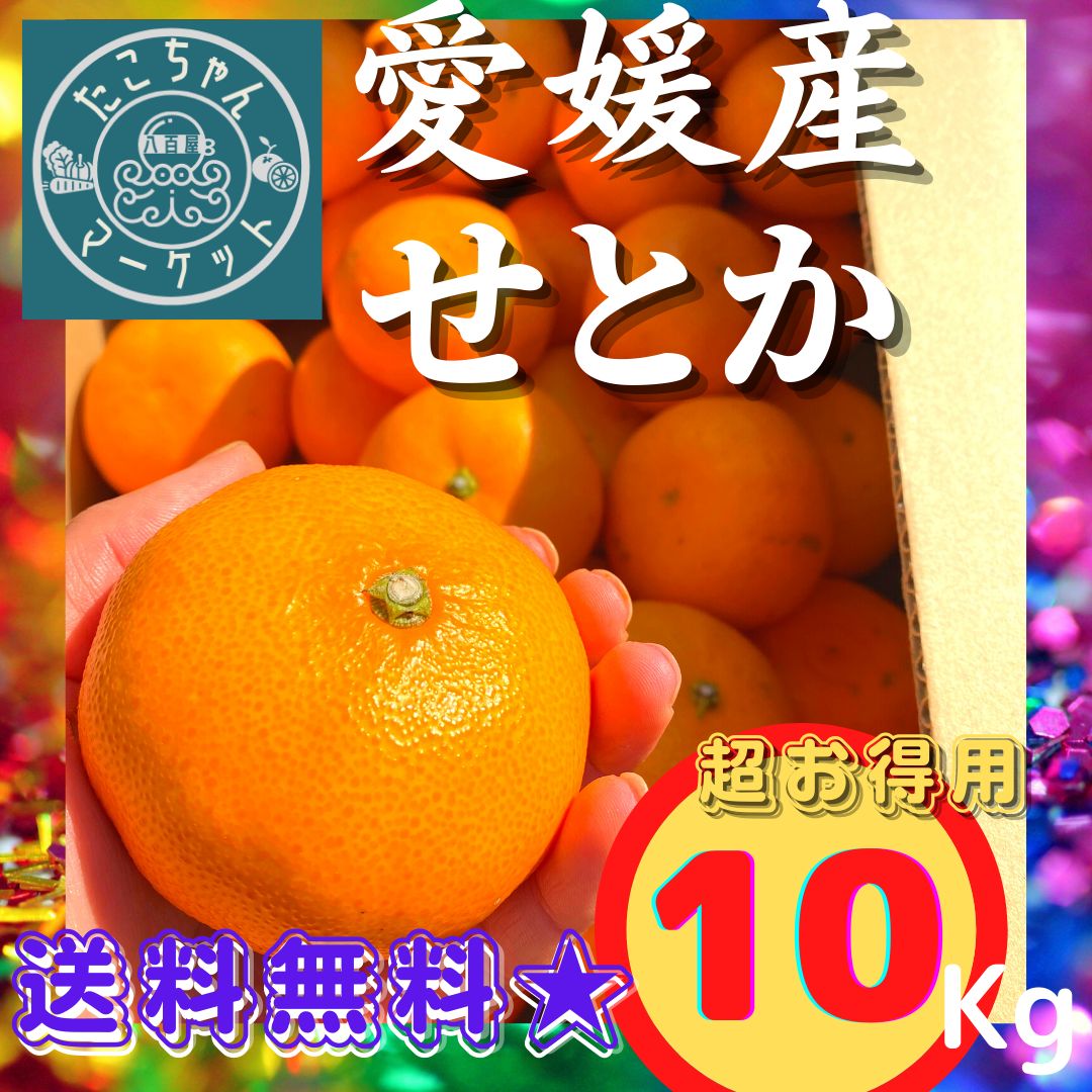 愛媛県産 せとか 柑橘 10kg - 果物