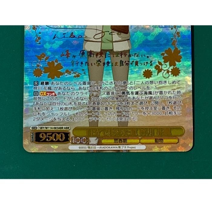 紫波54-1-0823】【中古】ヴァイスシュヴァルツ 「自分で決めた道 梓川