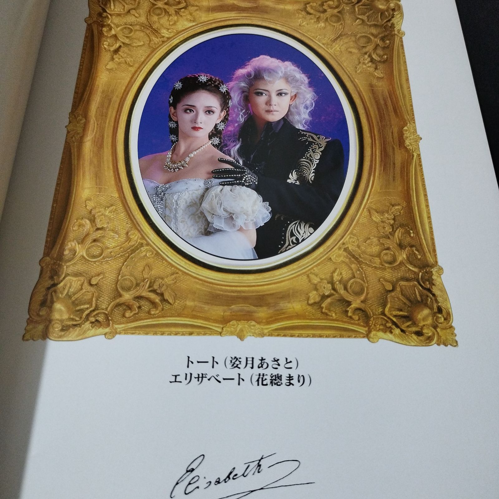 宝塚　エリザベート　月組　ピアノ弾き語り　楽譜 宝塚歌劇ミュージカル エリザベート—愛と死の輪舞—[花組版