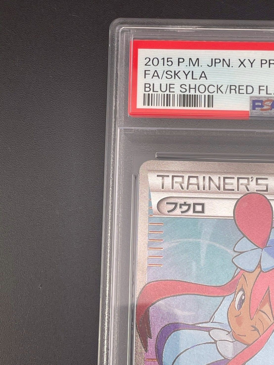PSA10鑑定済〕フウロ(SR仕様)【P】{164/XY-P}