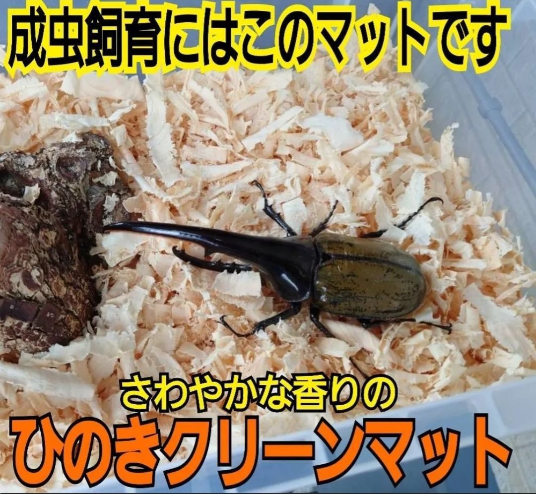 ケース内が明るくなり生体がカッコ良く見える ダニ防止にも