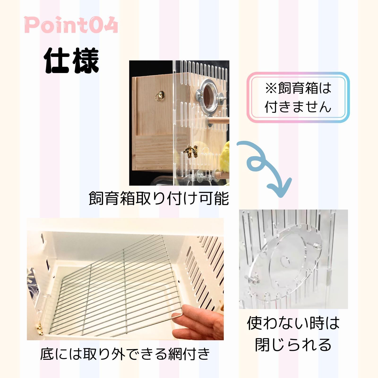 小鳥