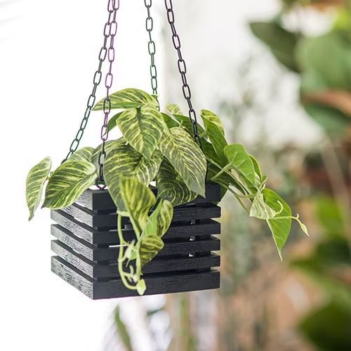 ハンギングボックス ブラック 3号鉢収納可能 POSH LIVING/41401