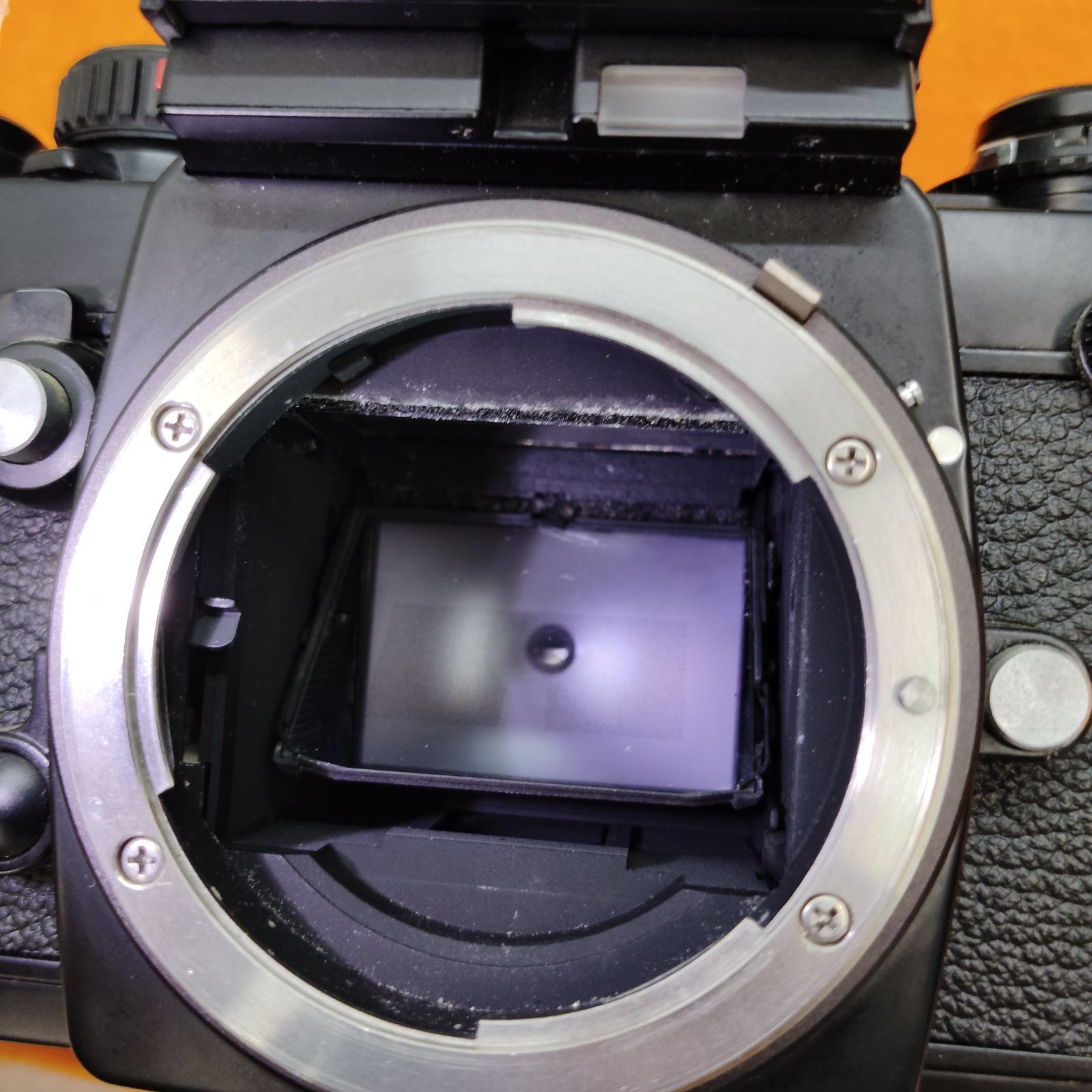Nikon