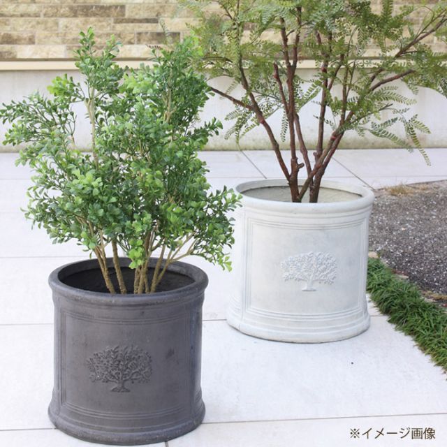 大型