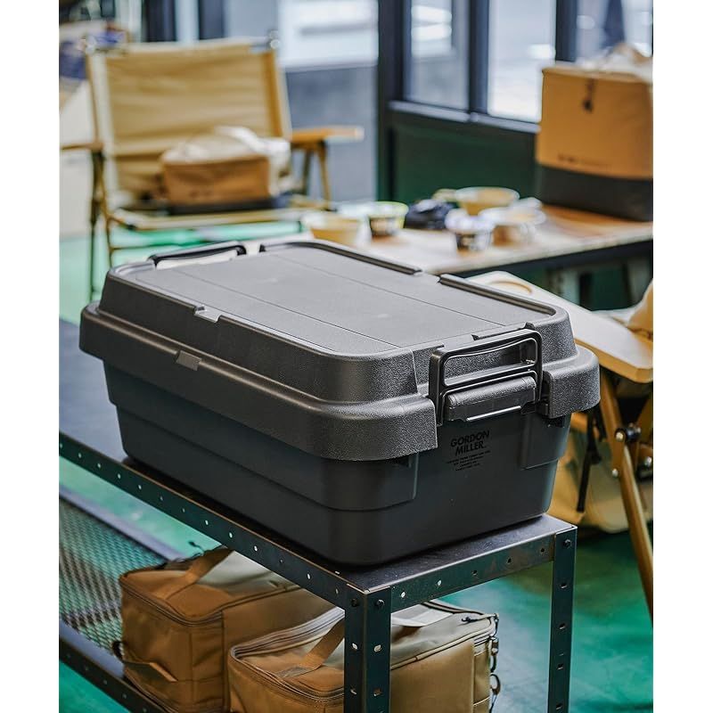 GORDON MILLER 車用 ロータイプ 30L スタッキングトランクカーゴ 収納