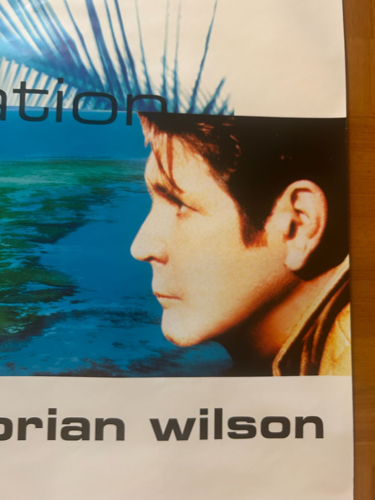 Brian Wilson　ブライアン・ウィルソン　ポスター（直筆サイン入り） ブライアン・ウィルソン『Brian Wilson』(1988)を聴きながら【未