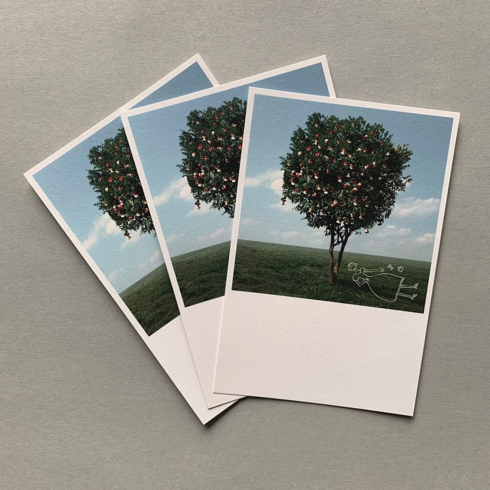 「Appled」ポストカード３枚セット　りんご　写真　ハガキ　白雪姫　アップル　景色-0