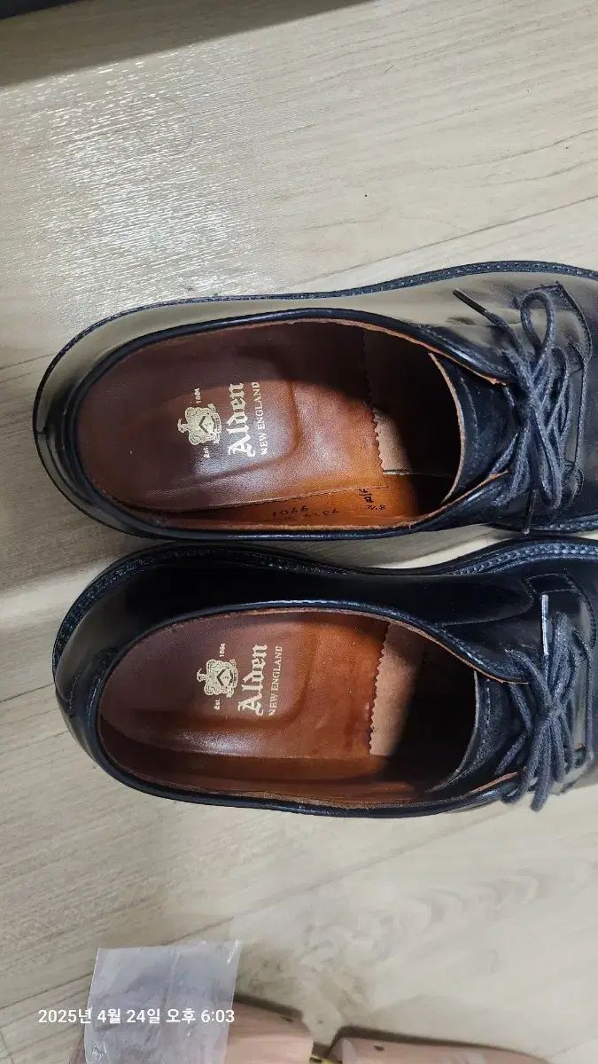 ALDEN オールデン