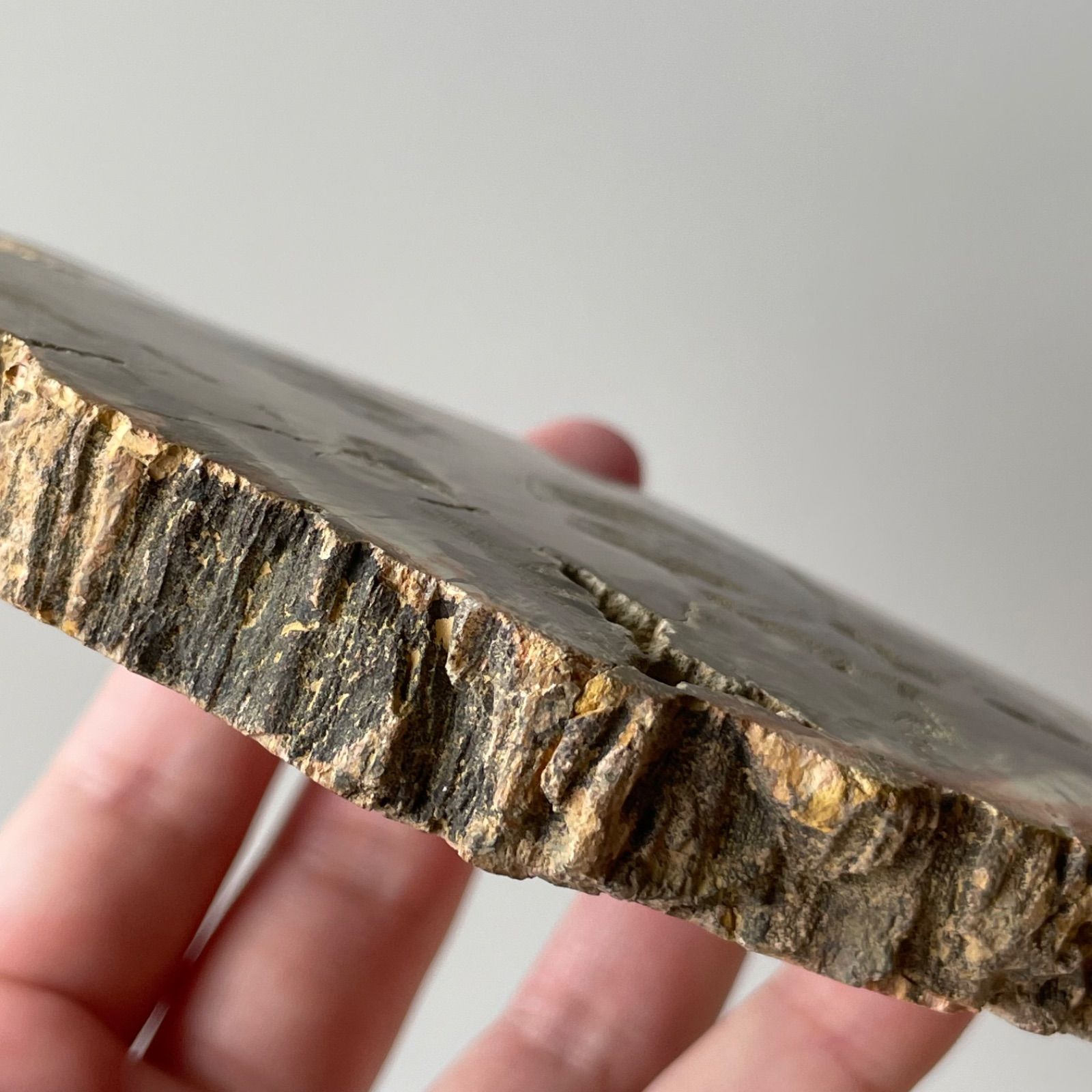 ペトリファイド ウッド スラブ プレート 珪化木 マダガスカル産