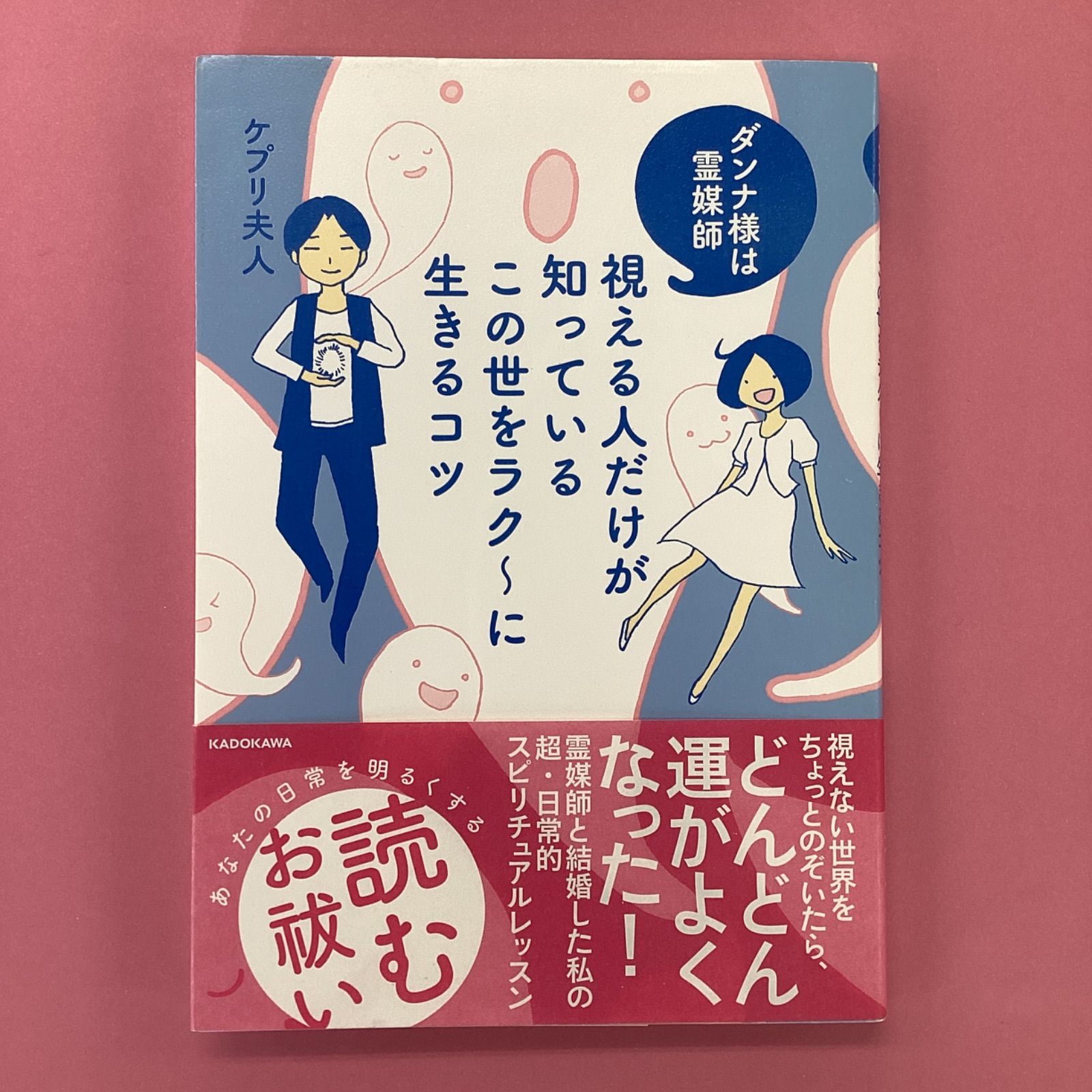 ダンナ様は霊媒師 視える人だけが知っているこの世をラク~に生きるコツ