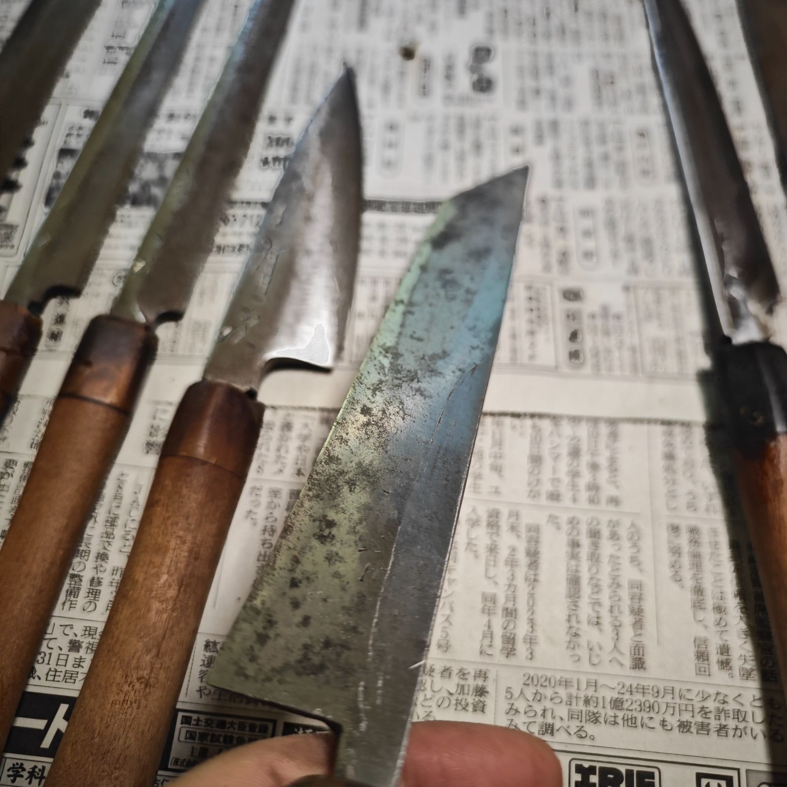 5本 正本