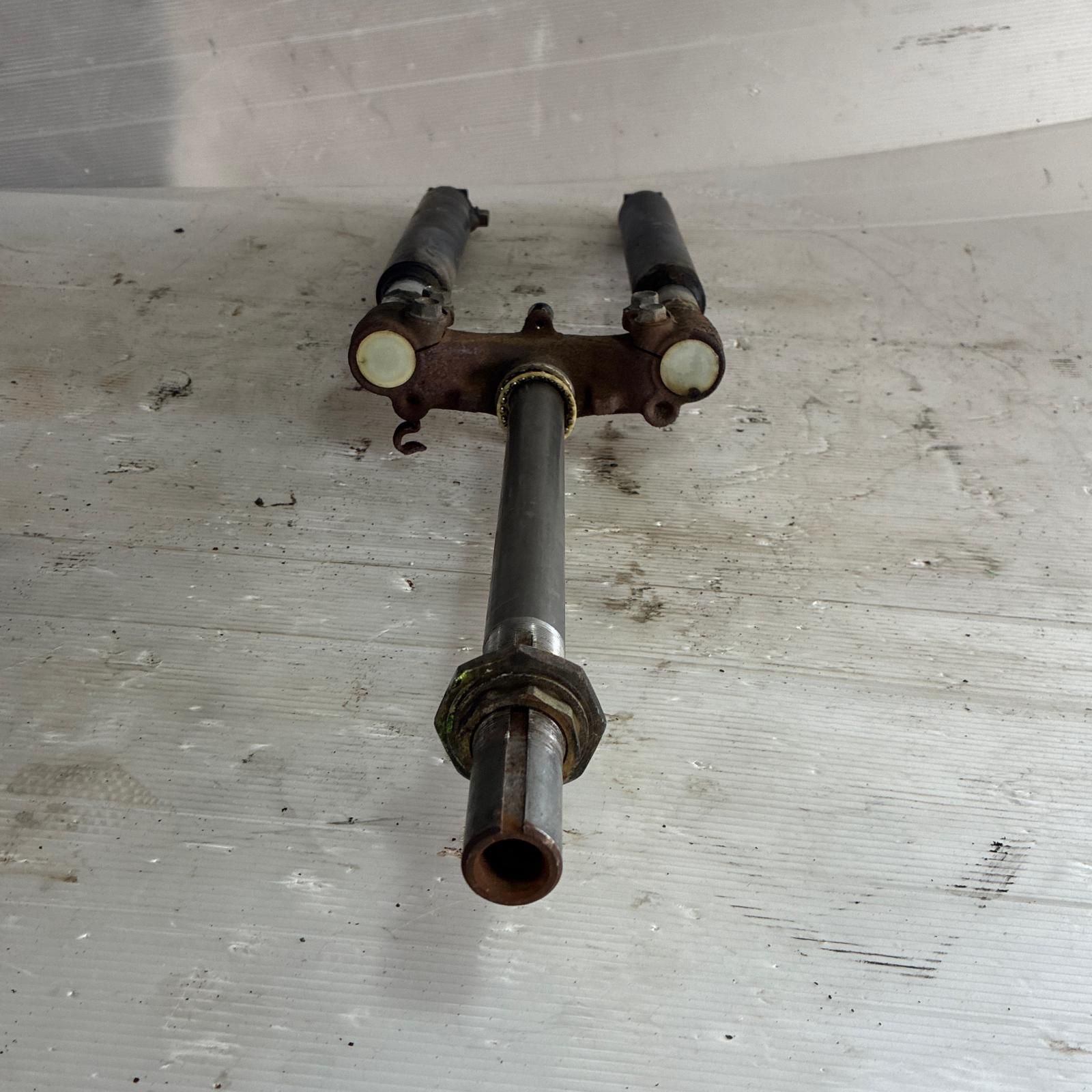 ディオチェスタ50