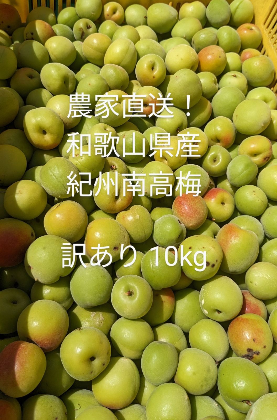 訳あり】平武農園 紀州南高梅10kg 和歌山県有田産 - メルカリ
