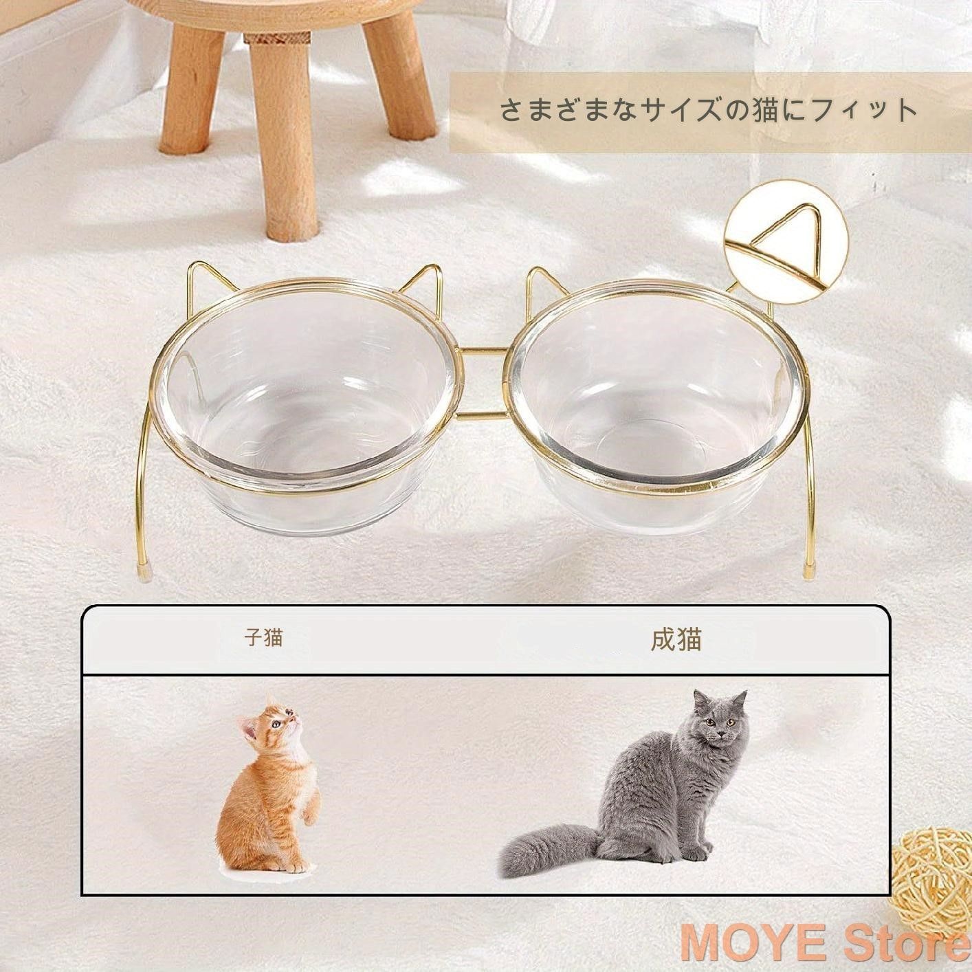 食事 透明