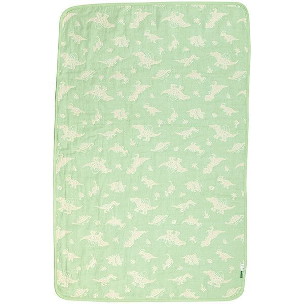 DINOSAURS PICTURE BOOK ブランケット スケーター
