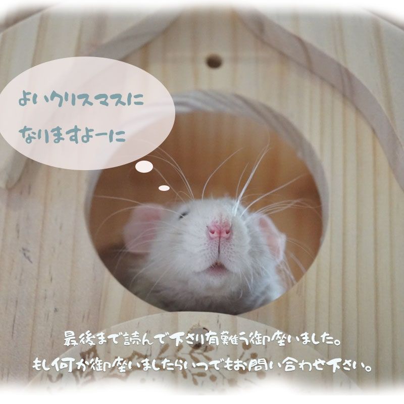 設置 釘なし