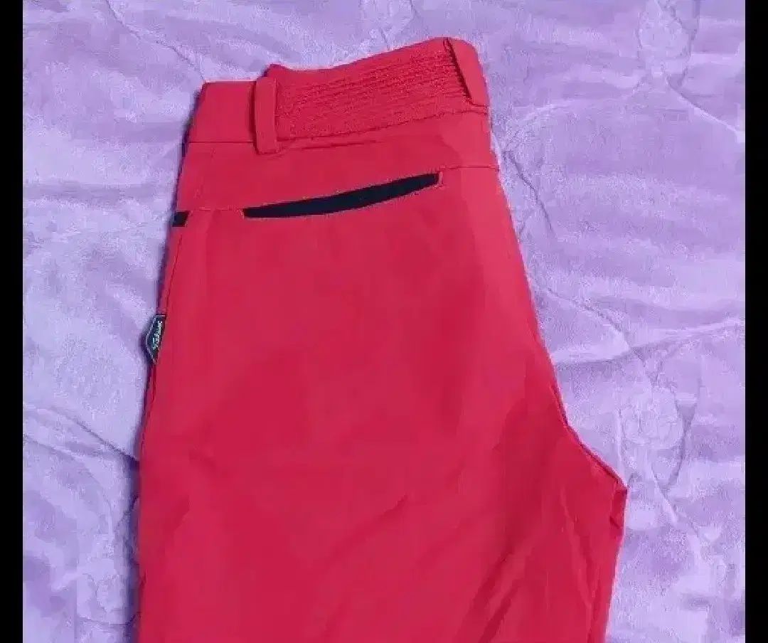 女子ゴルフタイトルリスト