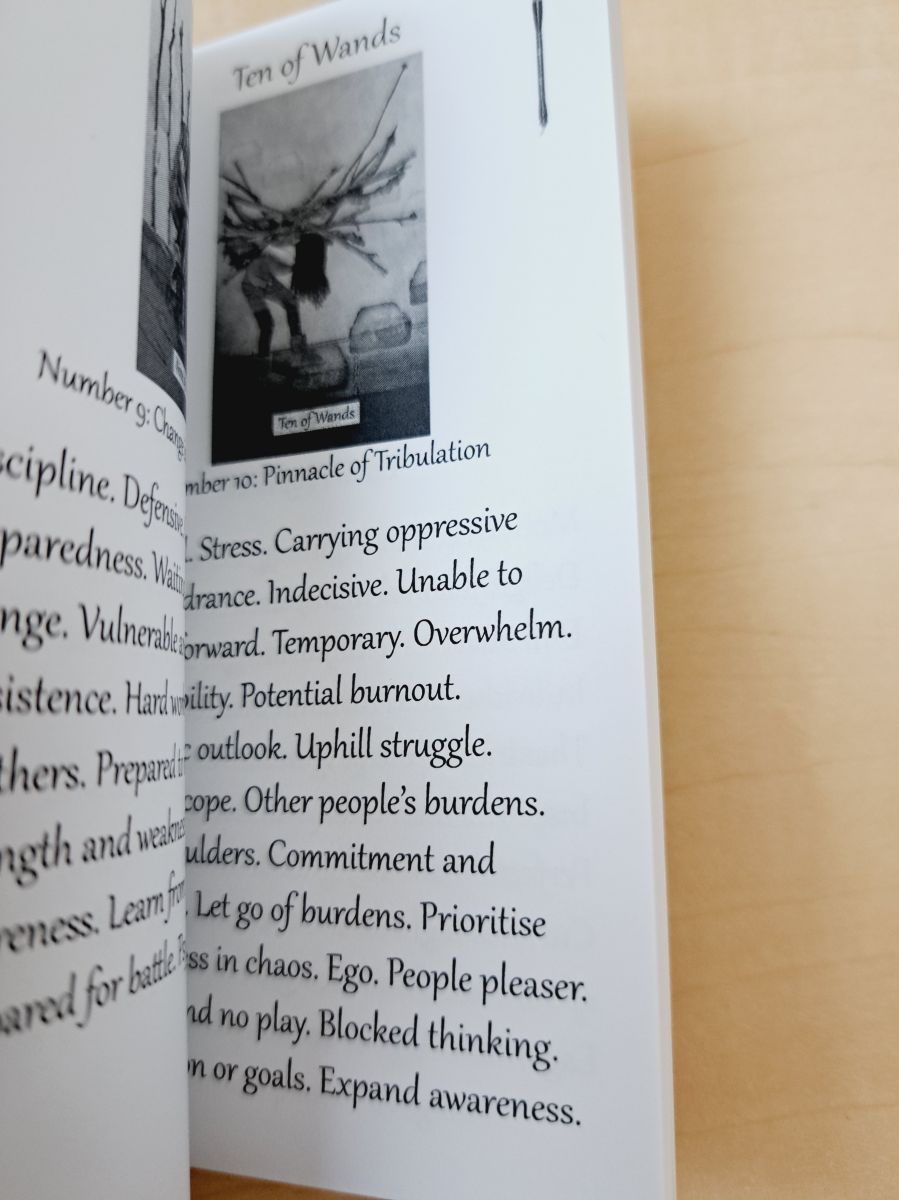 The Textured Tarot 英語版解説書付き テクスチャード タロット [ The Textured Tarot ] 海外版（中古