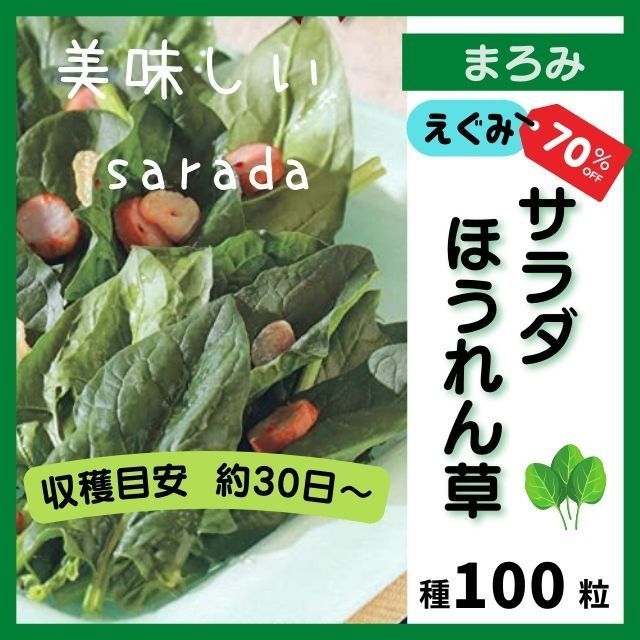 ゆきねこショップ　メルカリ　野菜の種】えぐみ70%オフ　サラダほうれん草の種100粒