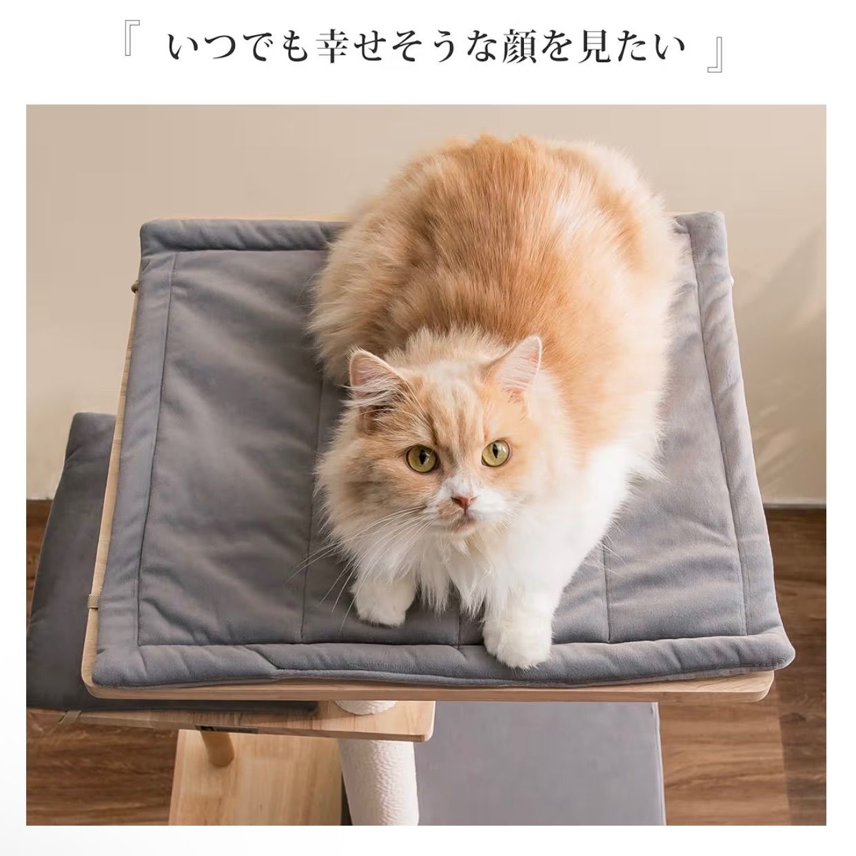 部屋 クッション付