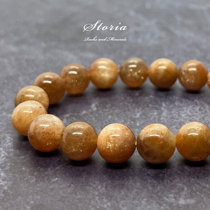 タンザニア産 特大 サザナミオオツノハナムグリ 62mm 45mm <0406z昆虫